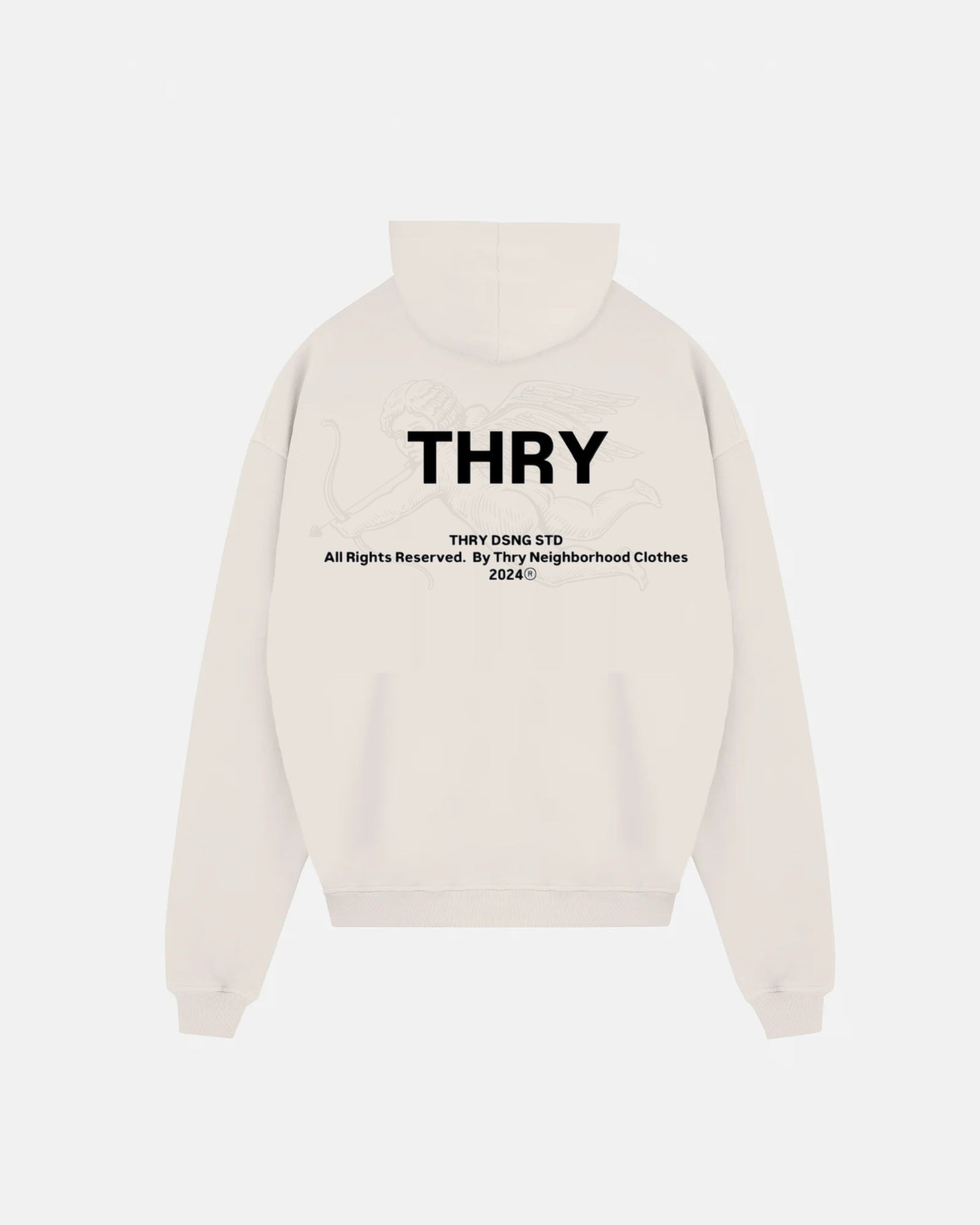 Hoddie Classic Theory